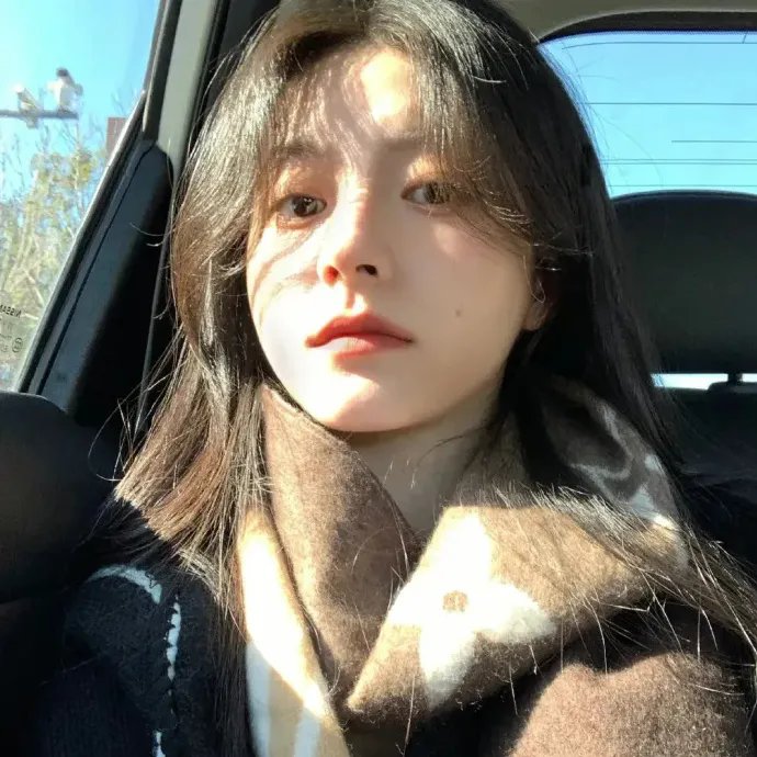 七彩狗