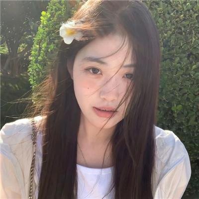 狗狗的旅程